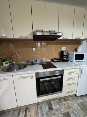Apartments Paradise Licko Petrovo Selo Екстер'єр фото