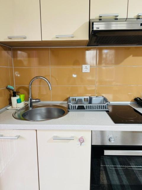 Apartments Paradise Licko Petrovo Selo Екстер'єр фото
