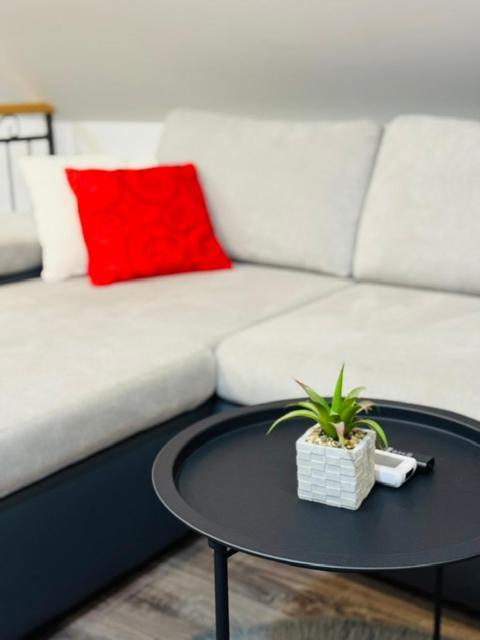 Apartments Paradise Licko Petrovo Selo Екстер'єр фото