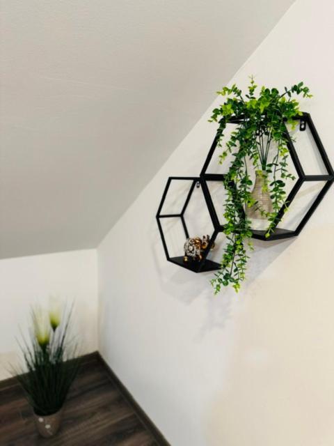 Apartments Paradise Licko Petrovo Selo Екстер'єр фото